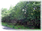 side of 1466 Parker Trail