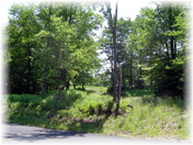 Lot 19 Split Rock - from front
